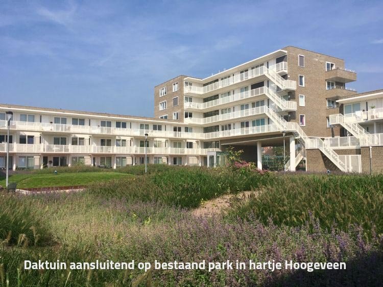 Hoogeveen kaap.jpg